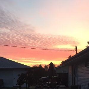 Meet your Posher, Maiya